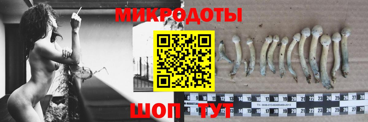Псилоцибиновые грибы прущие грибы Курчатов